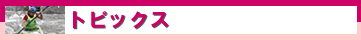 �g�s�b�N�X